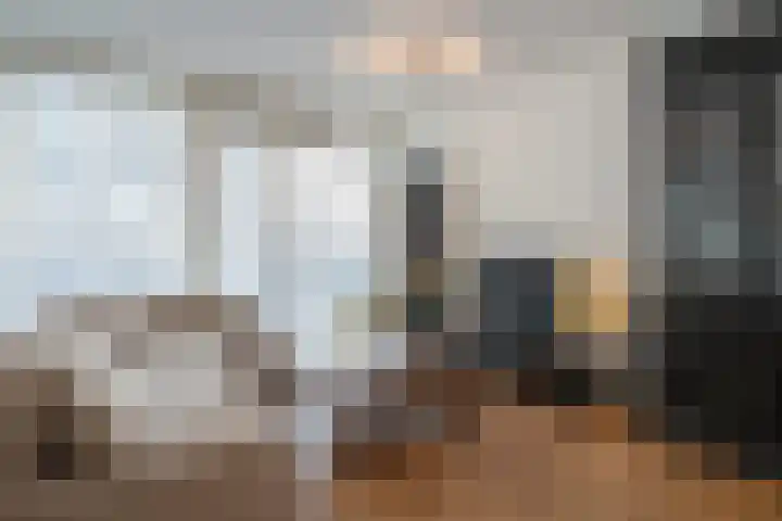 Vierloper 1 Den Haag thumbnail 9