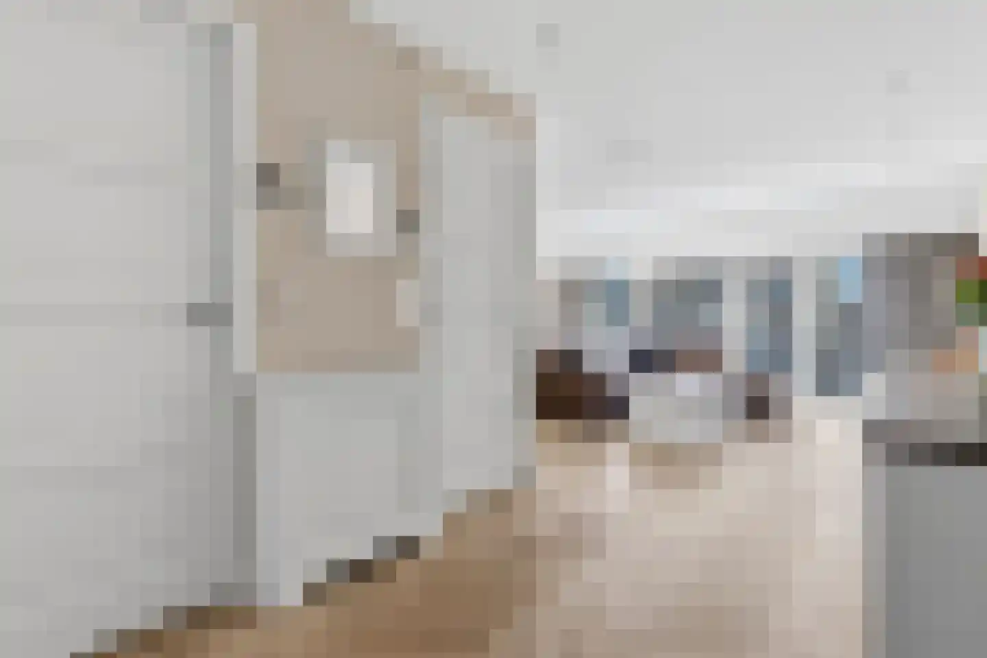 Vierloper 11 Den Haag thumbnail 21