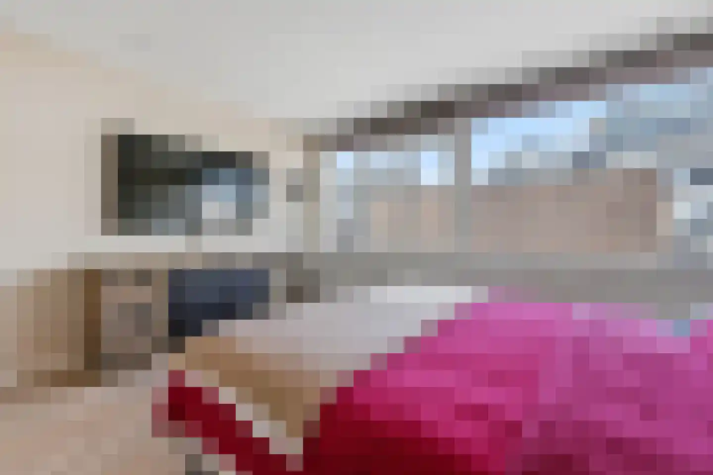 Vierloper 11 Den Haag thumbnail 27