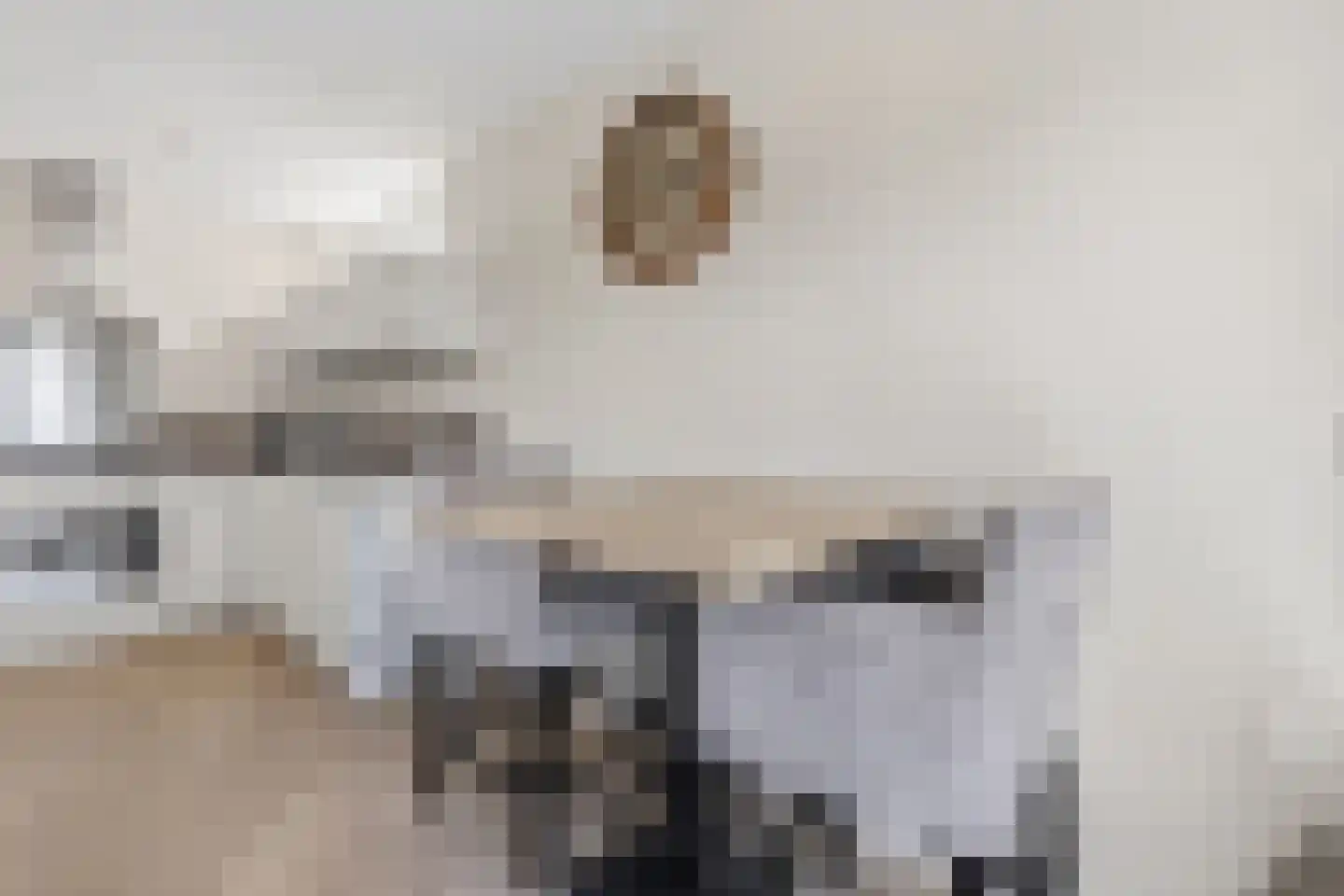 Vierloper 11 Den Haag thumbnail 7