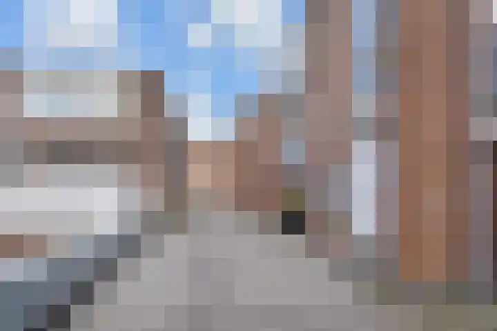 Vierloper 63 Den Haag thumbnail 5