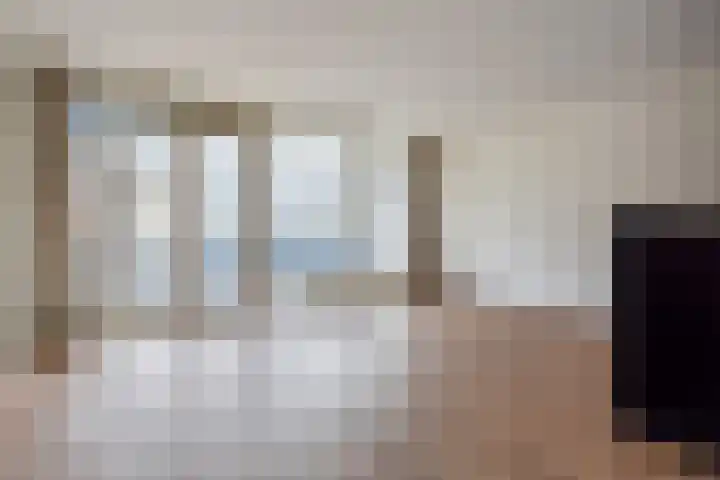 Vierloper 63 Den Haag thumbnail 8