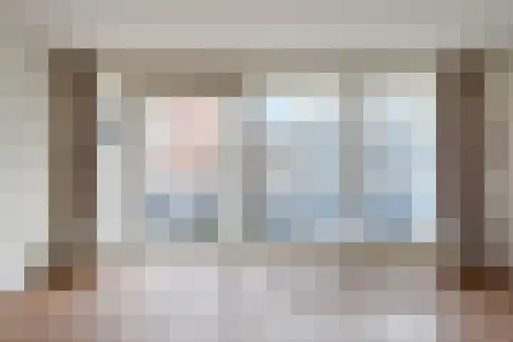 Vierloper 63 Den Haag thumbnail 9