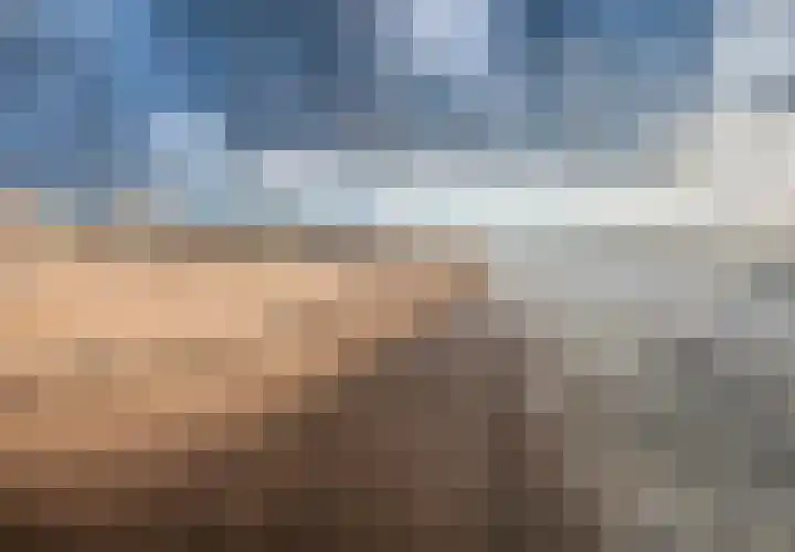 Vierloper 75 Den Haag thumbnail 31