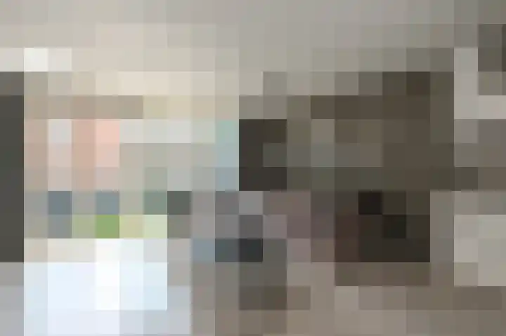 Vierloper 75 Den Haag thumbnail 6