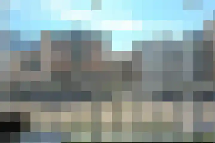 Vierloper 75 Den Haag thumbnail 8