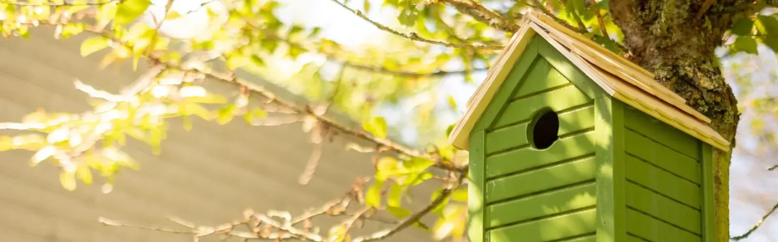 Team foto van Viermakelaars Vught