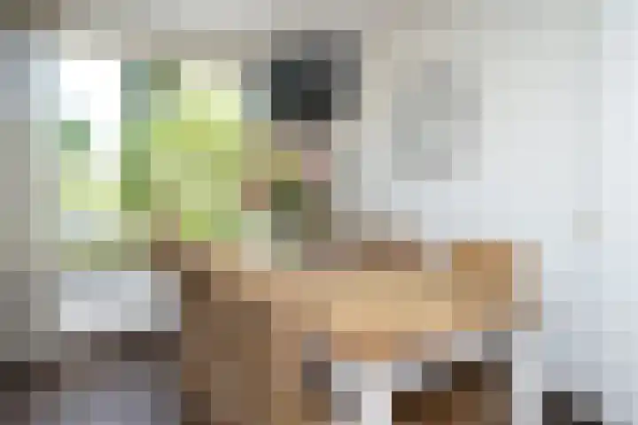 Viermerenstraat 21 Rotterdam thumbnail 10