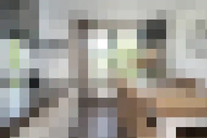 Viermerenstraat 21 Rotterdam thumbnail 11