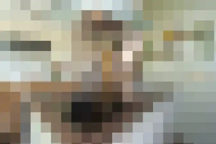 Viermerenstraat 21 Rotterdam thumbnail 16