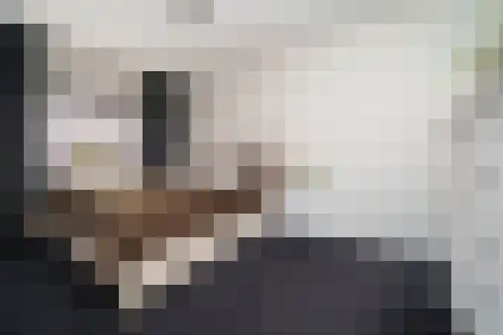 Viermerenstraat 21 Rotterdam thumbnail 18