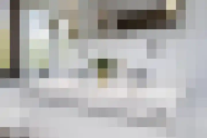 Viermerenstraat 21 Rotterdam thumbnail 26