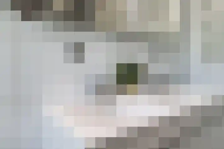 Viermerenstraat 21 Rotterdam thumbnail 27