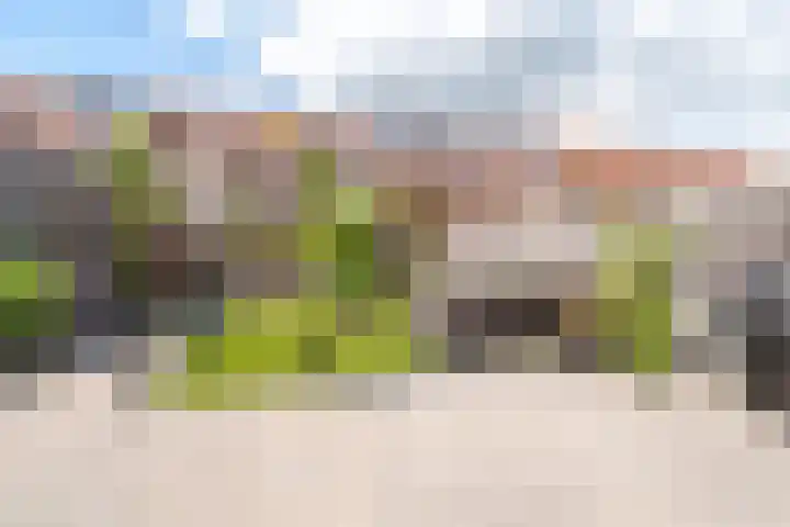 Viermerenstraat 21 Rotterdam thumbnail 31