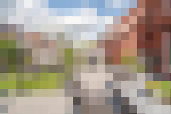 Viermerenstraat 21 Rotterdam thumbnail 35