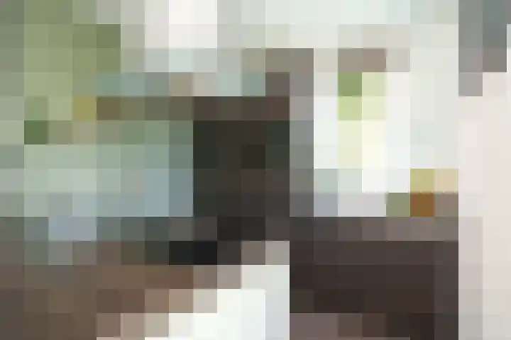 Viermerenstraat 21 Rotterdam thumbnail 4