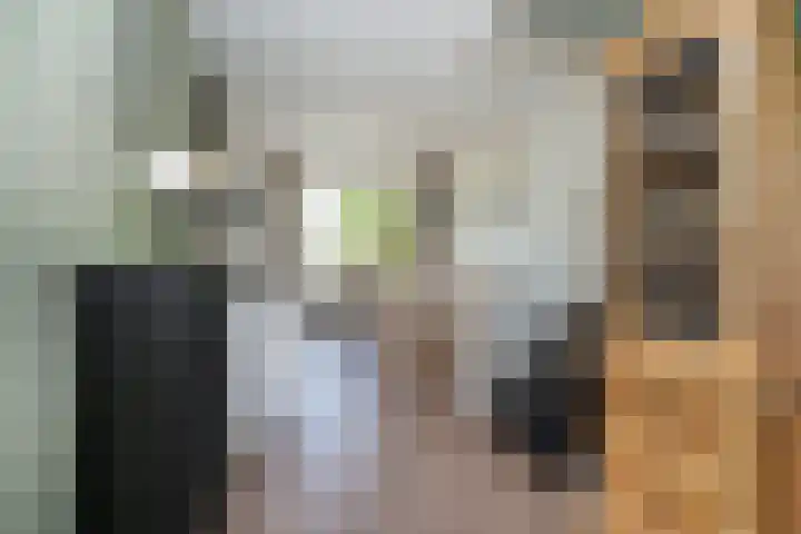Viermerenstraat 21 Rotterdam thumbnail 9