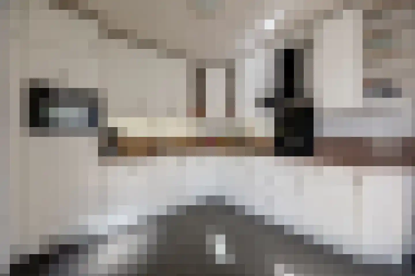 Viermorgen 1 Bemmel thumbnail 10