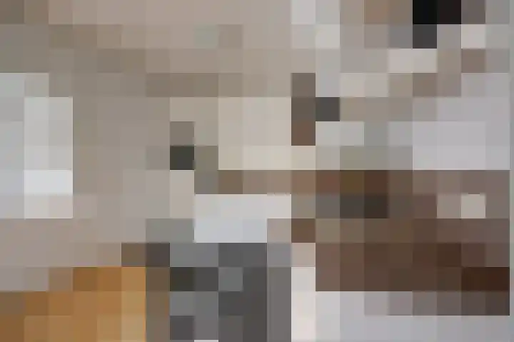 Viermorgen 1 Bemmel thumbnail 11