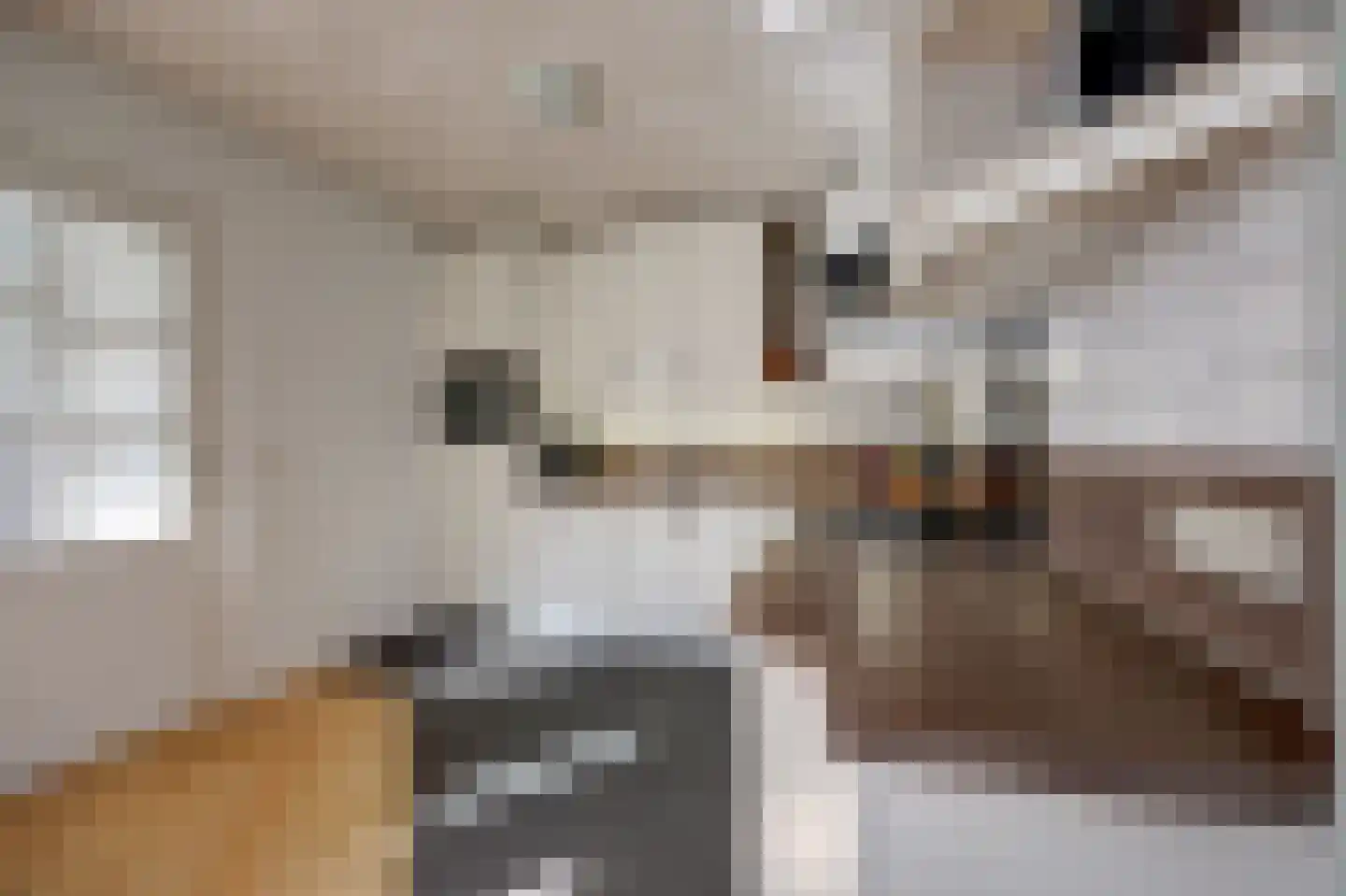 Viermorgen 1 Bemmel thumbnail 11