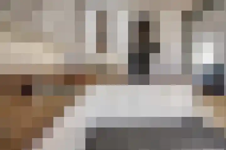 Viermorgen 1 Bemmel thumbnail 12