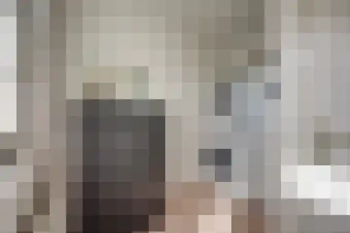 Viermorgen 1 Bemmel thumbnail 14