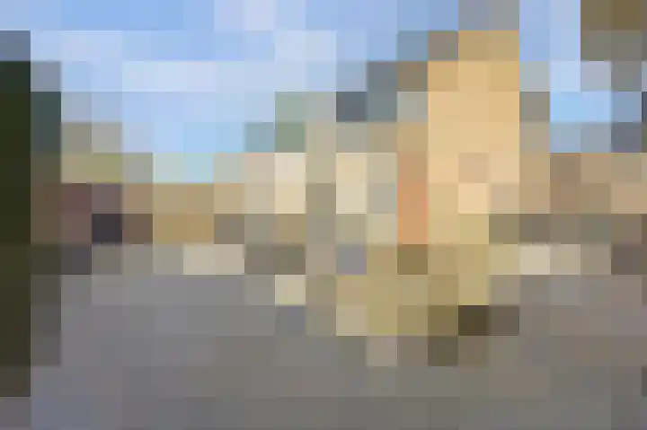 Viermorgen 1 Bemmel thumbnail 16