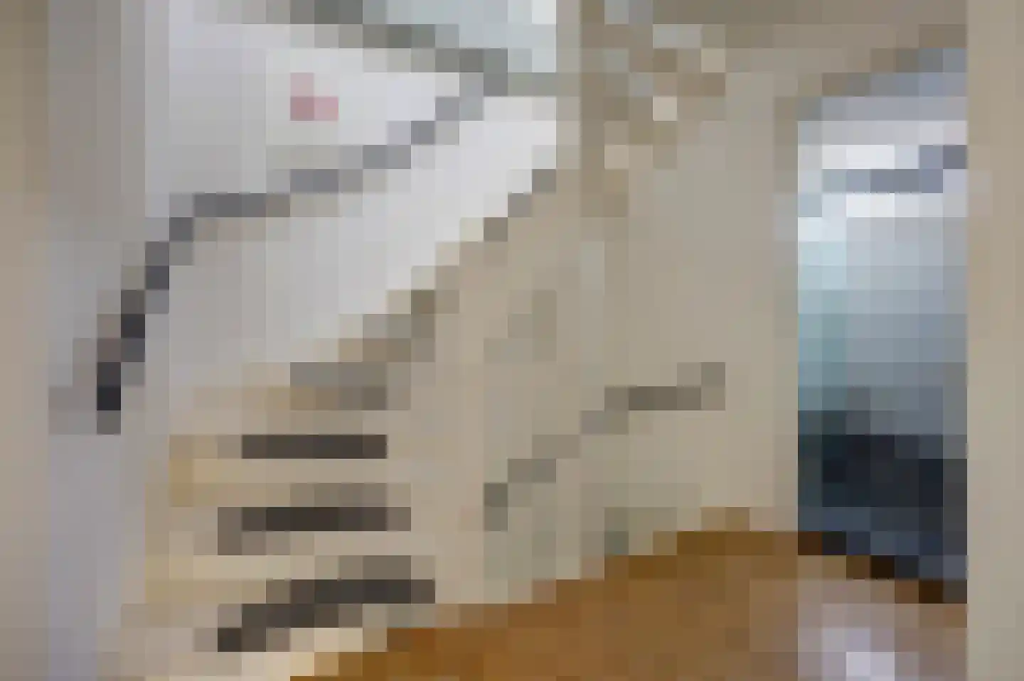 Viermorgen 1 Bemmel thumbnail 22