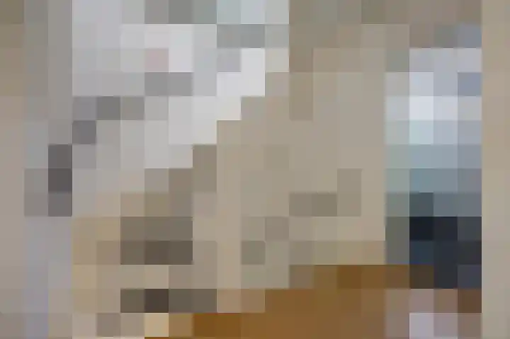 Viermorgen 1 Bemmel thumbnail 22