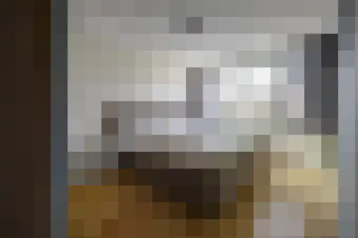 Viermorgen 1 Bemmel thumbnail 23