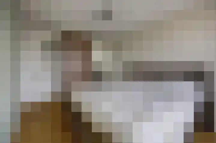 Viermorgen 1 Bemmel thumbnail 24
