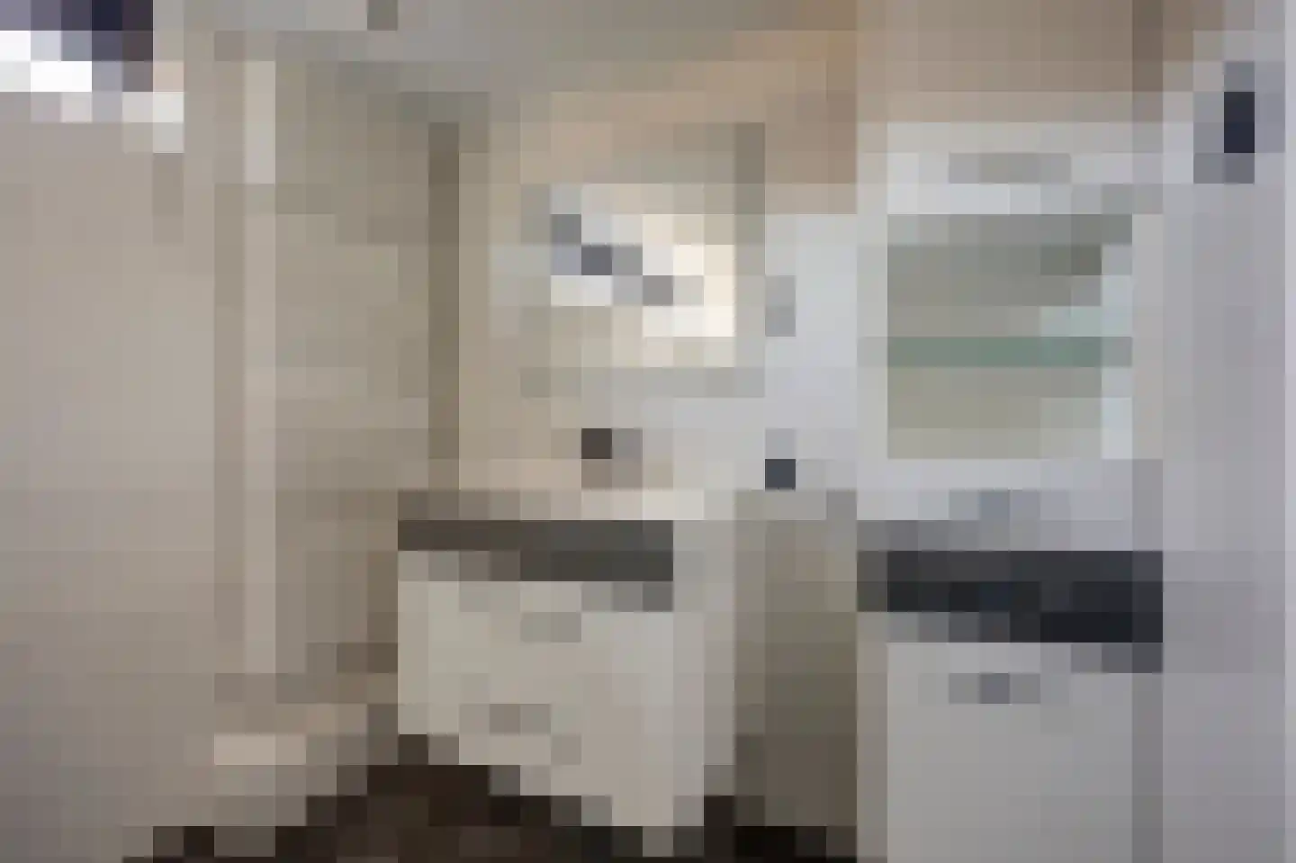 Viermorgen 1 Bemmel thumbnail 27