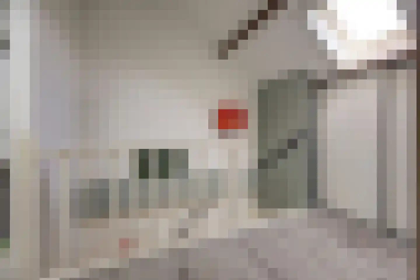 Viermorgen 1 Bemmel thumbnail 32