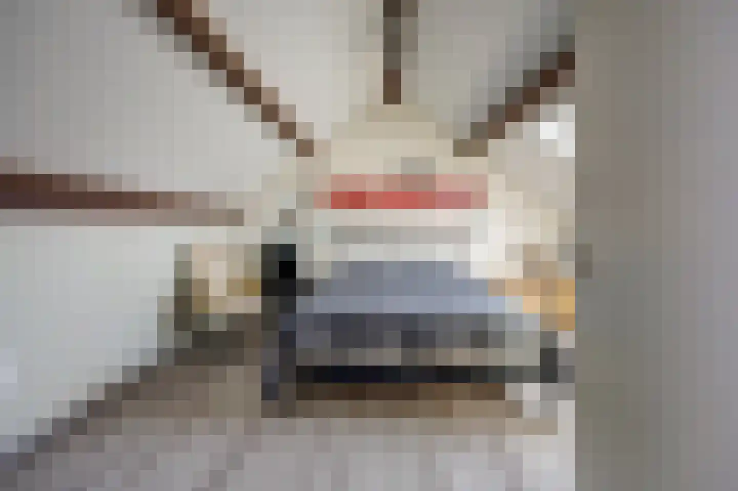 Viermorgen 1 Bemmel thumbnail 34