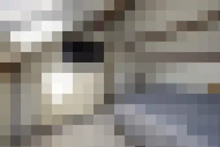 Viermorgen 1 Bemmel thumbnail 36