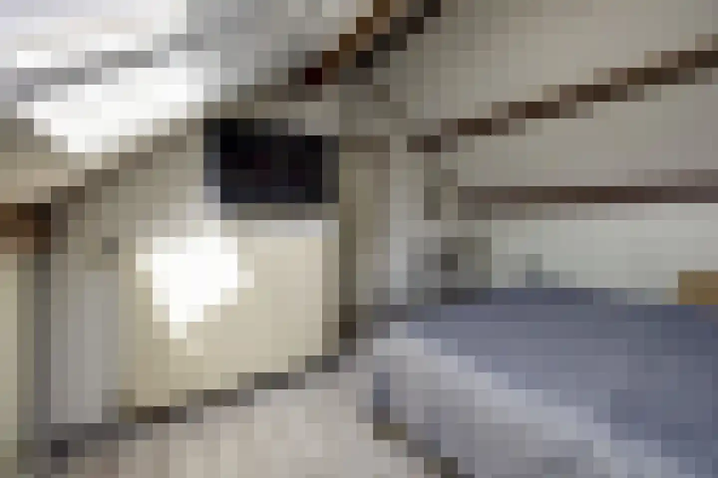 Viermorgen 1 Bemmel thumbnail 36