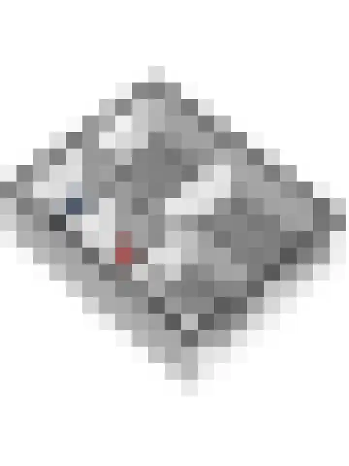 Viermorgen 1 Bemmel thumbnail 44