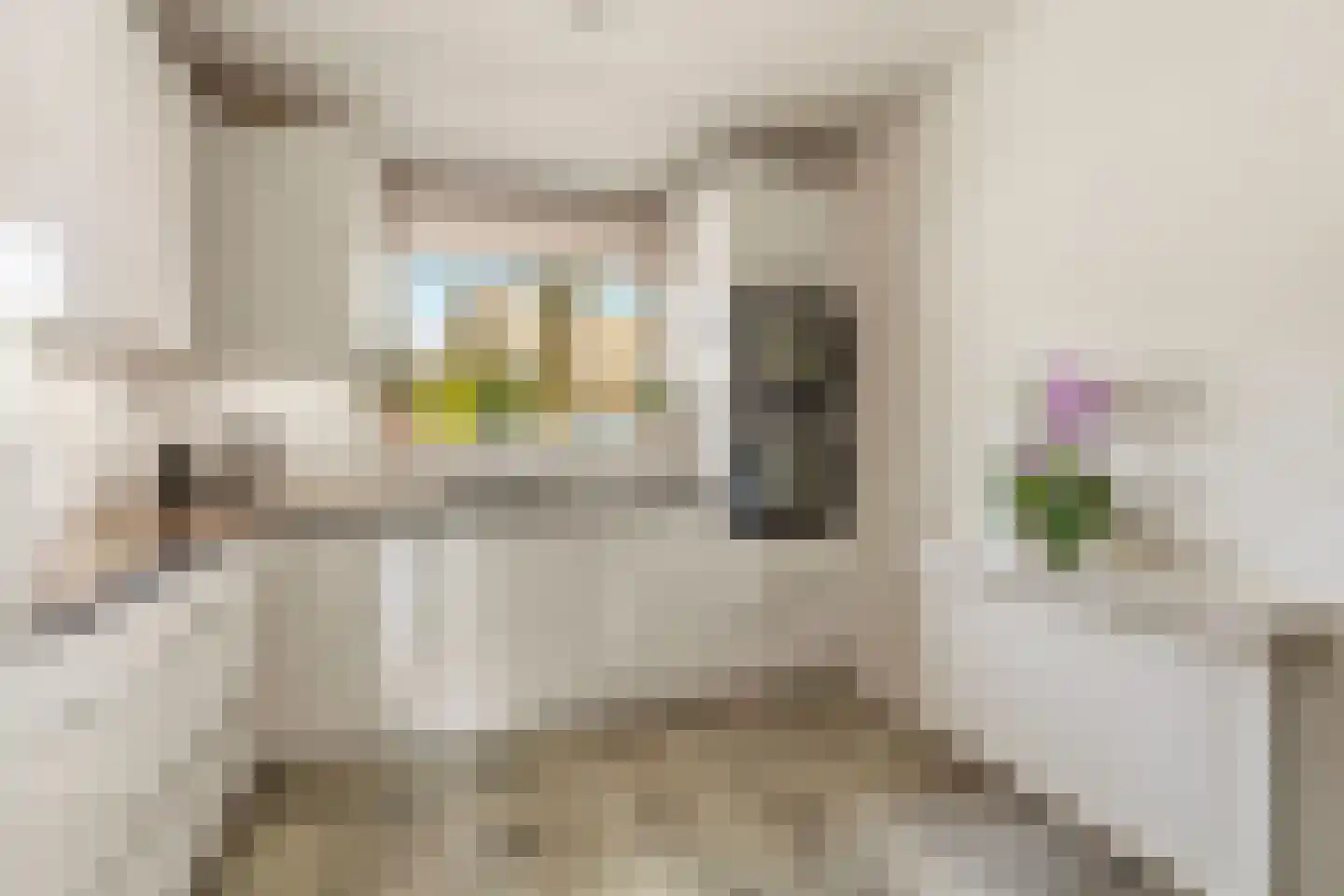 Viermorgen 11 Beuningen Gld thumbnail 12