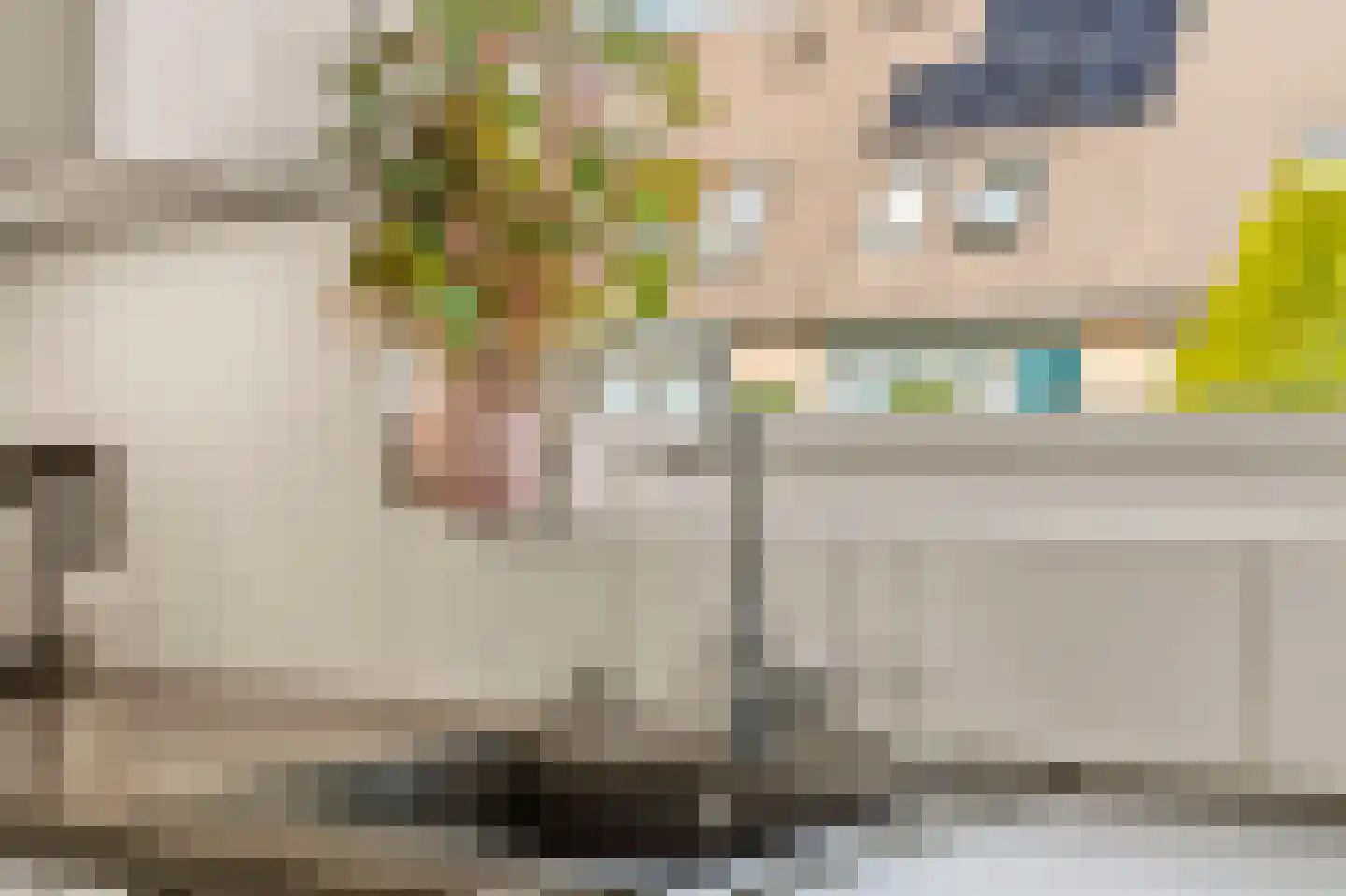 Viermorgen 11 Beuningen Gld thumbnail 14