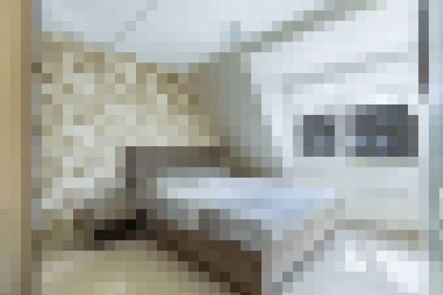 Viermorgen 11 Beuningen Gld thumbnail 24