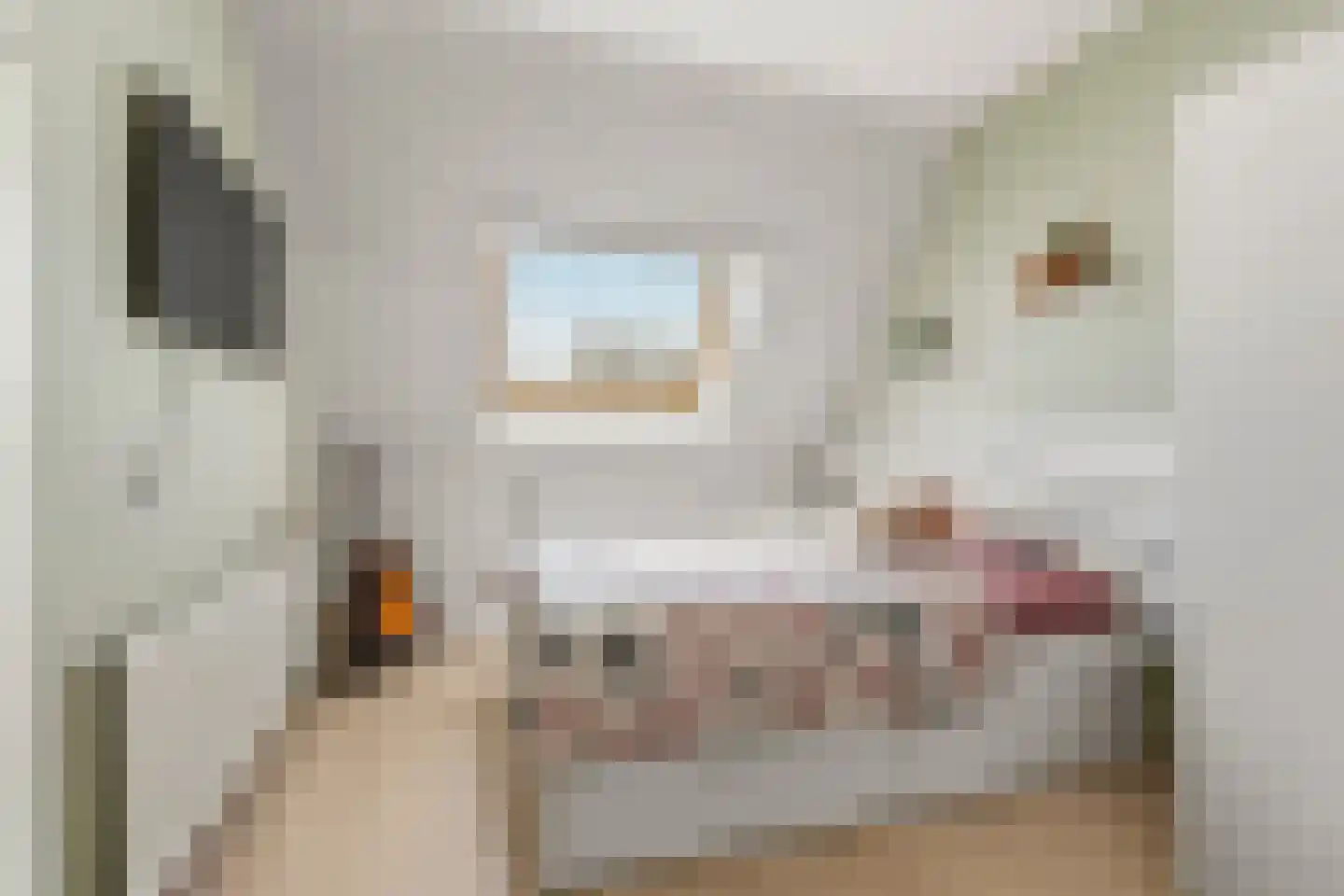 Viermorgen 11 Beuningen Gld thumbnail 26