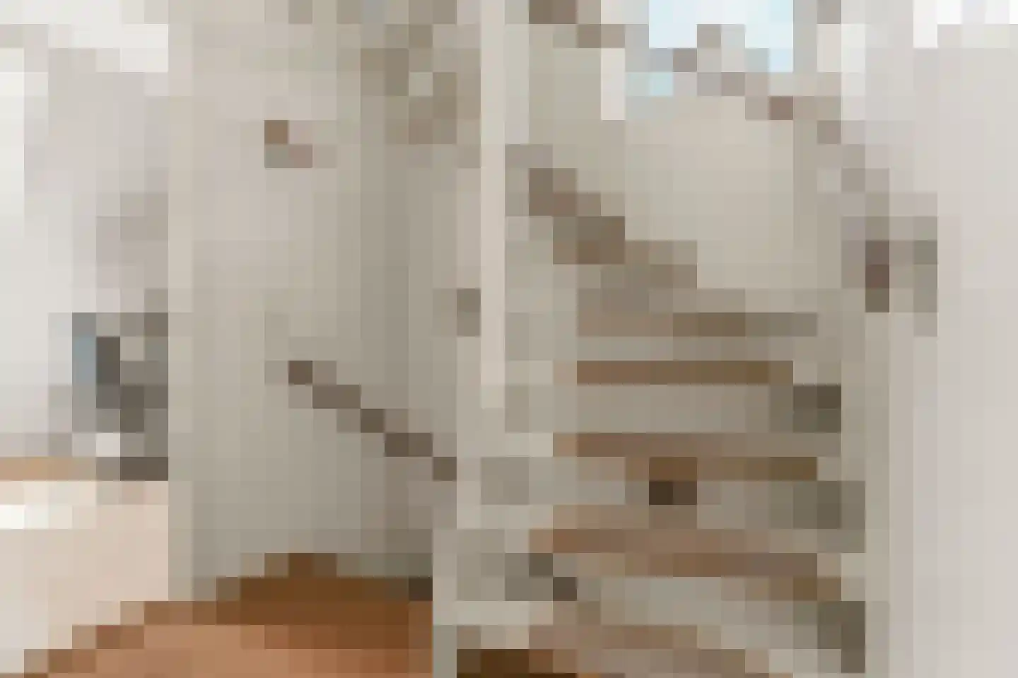 Viermorgen 11 Beuningen Gld thumbnail 35