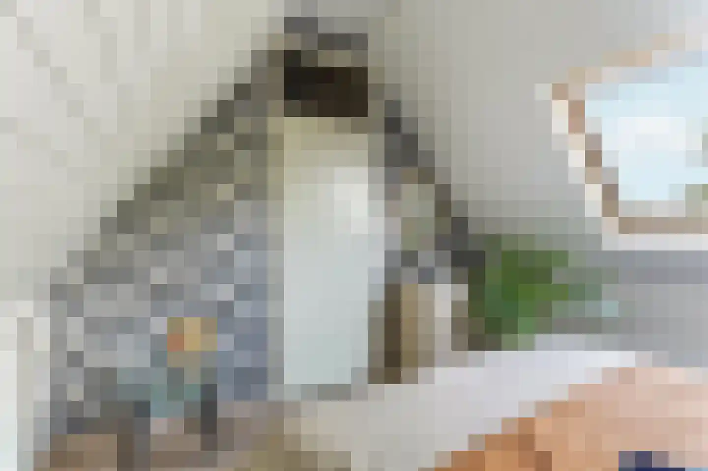 Viermorgen 11 Beuningen Gld thumbnail 37