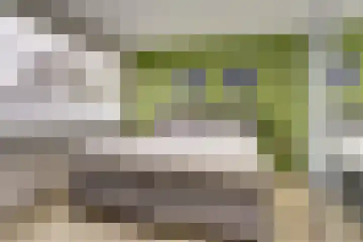 Viermorgen 27 Bemmel thumbnail 14