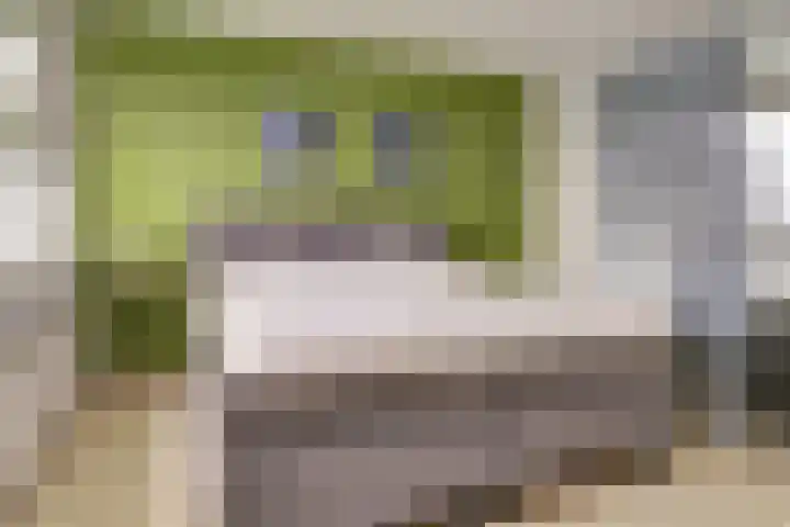 Viermorgen 27 Bemmel thumbnail 15