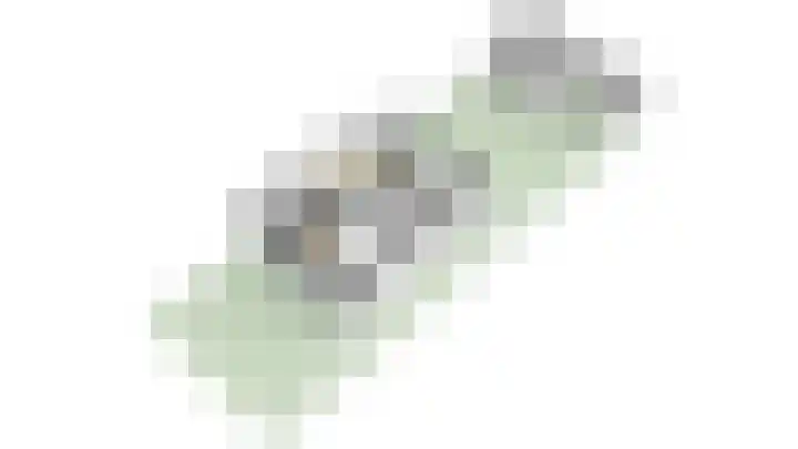 Viermorgen 27 Bemmel thumbnail 41