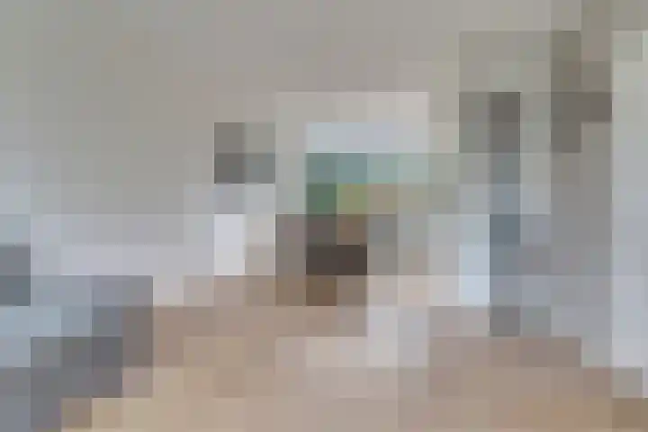 Viermorgen 27 Bemmel thumbnail 7