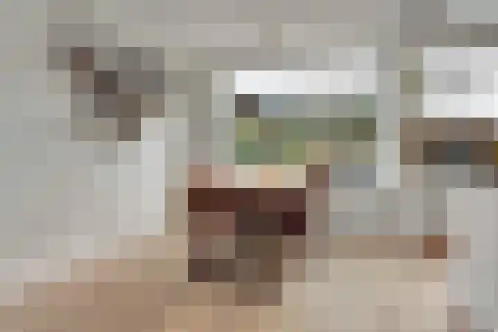 Viermorgen 27 Bemmel thumbnail 8