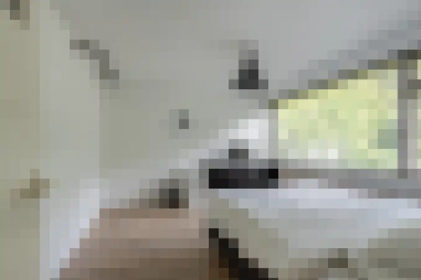 Viermorgen 61 Bemmel thumbnail 14