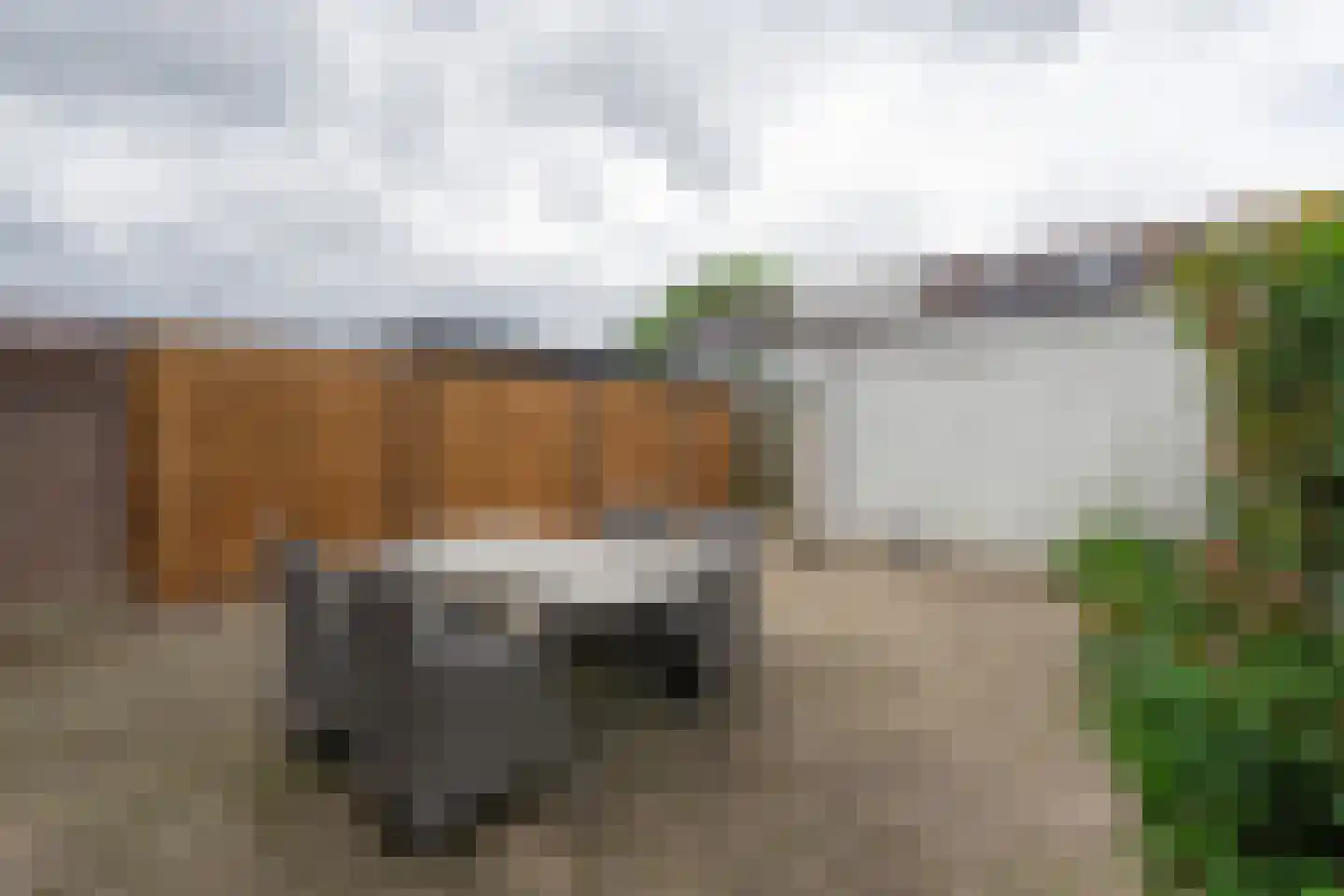 Viermorgen 61 Bemmel thumbnail 26